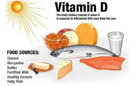 Vitamin D Food Sources 2