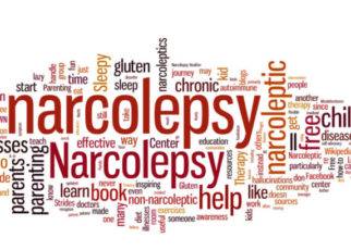 Brief Guide to Narcolepsy 1