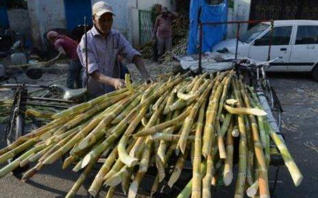 Australia threatens to take legal action against India at WTO over sugar subsidies 3