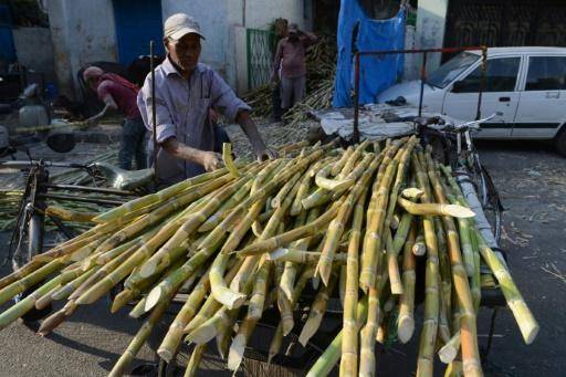 Australia threatens to take legal action against India at WTO over sugar subsidies 1