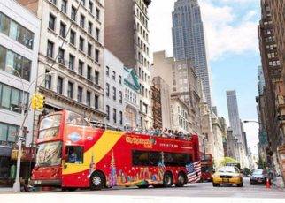 New York City Sightseeing by Wheelchair 1