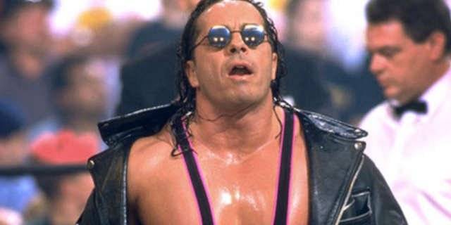 Brief about WWE star Bret Hart 8