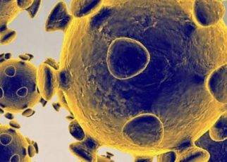 Iran Failed To Stop The Coronavirus