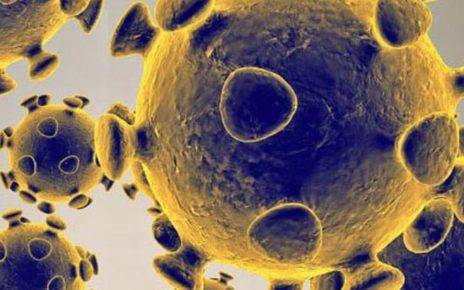 Iran Failed To Stop The Coronavirus