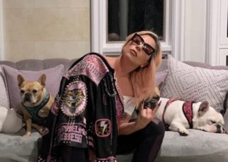 Lady Gaga and her bulldogs