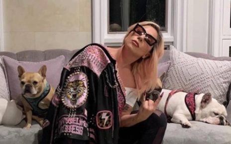 Lady Gaga and her bulldogs