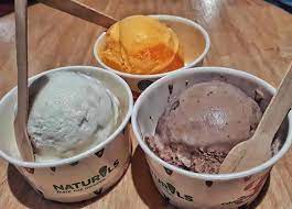 naturals ice cream india