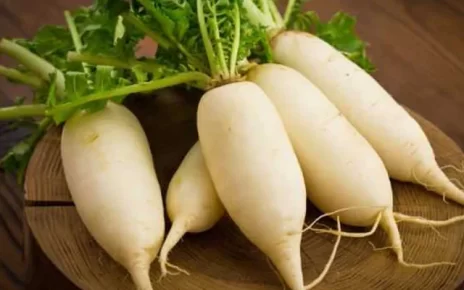 Here is What Drinking Radish Juice Can do to your Health