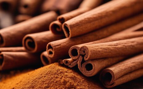 How Cinnamon Elevates Your Well-Being