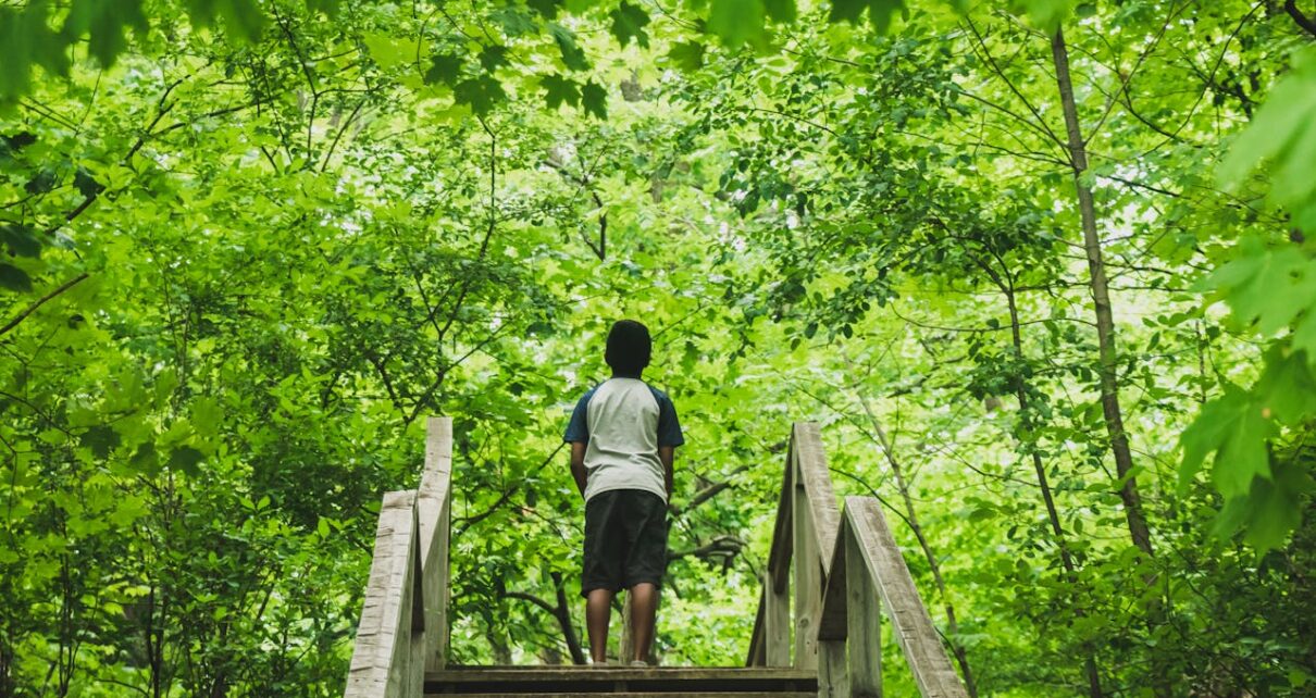 Healing Power of Greenery: Simple Steps to Better Mental Health