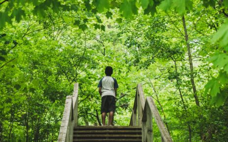 Healing Power of Greenery: Simple Steps to Better Mental Health